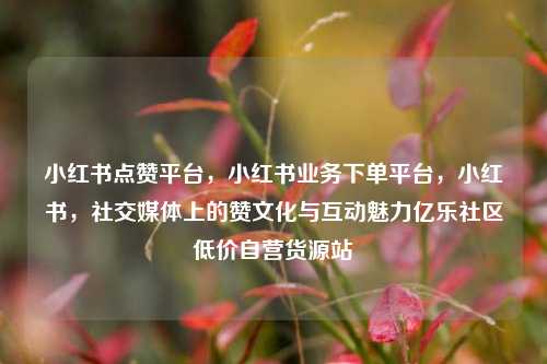 小红书点赞平台	，小红书业务下单平台，小红书，社交媒体上的赞文化与互动魅力亿乐社区低价自营货源站  第1张